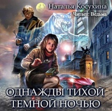 Однажды тихой темной ночью Наталья Косухина скачать аудиокнигу бесплатно